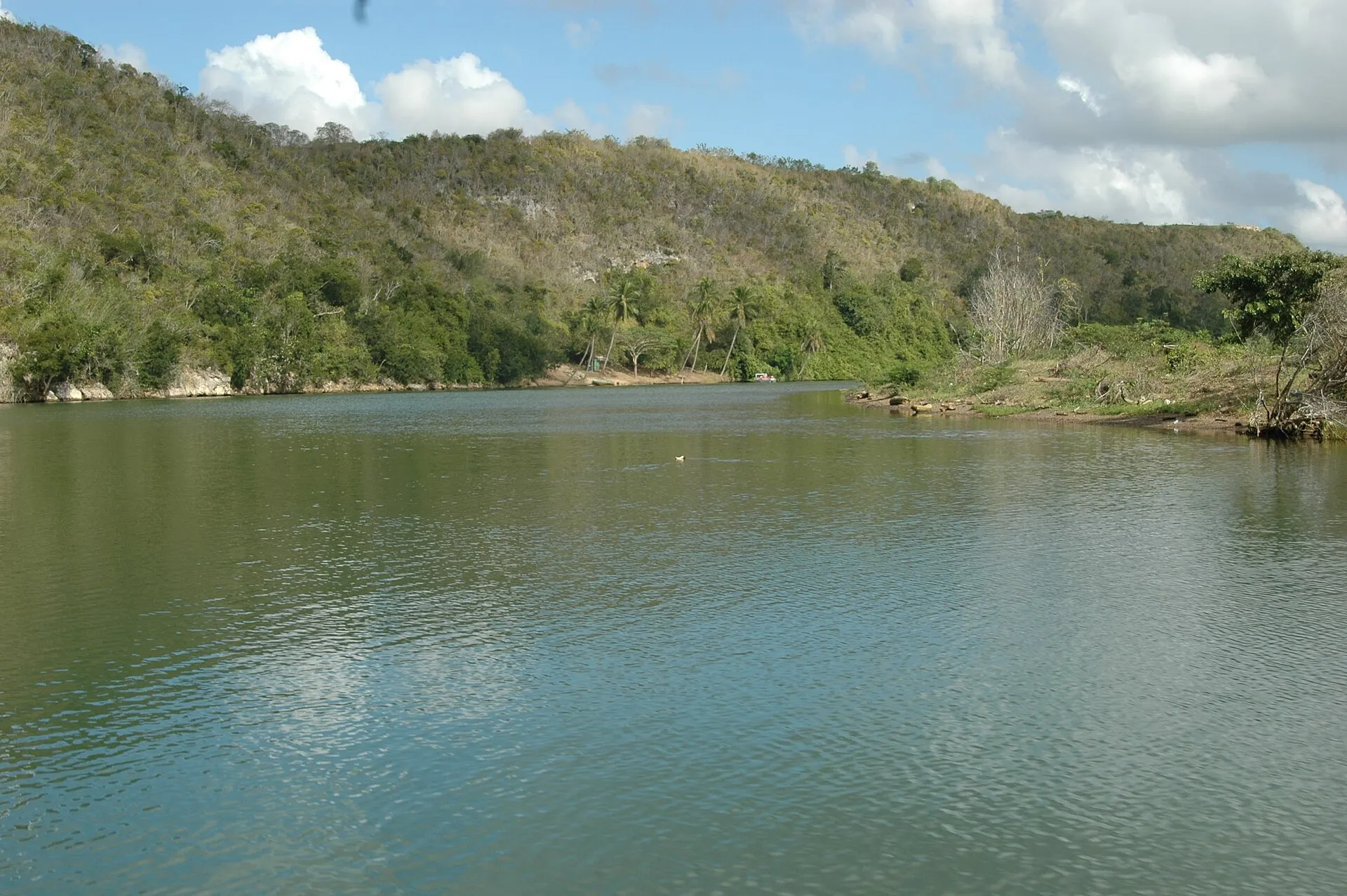 Caribbean Lake Park: Wakeboard & Ziplines