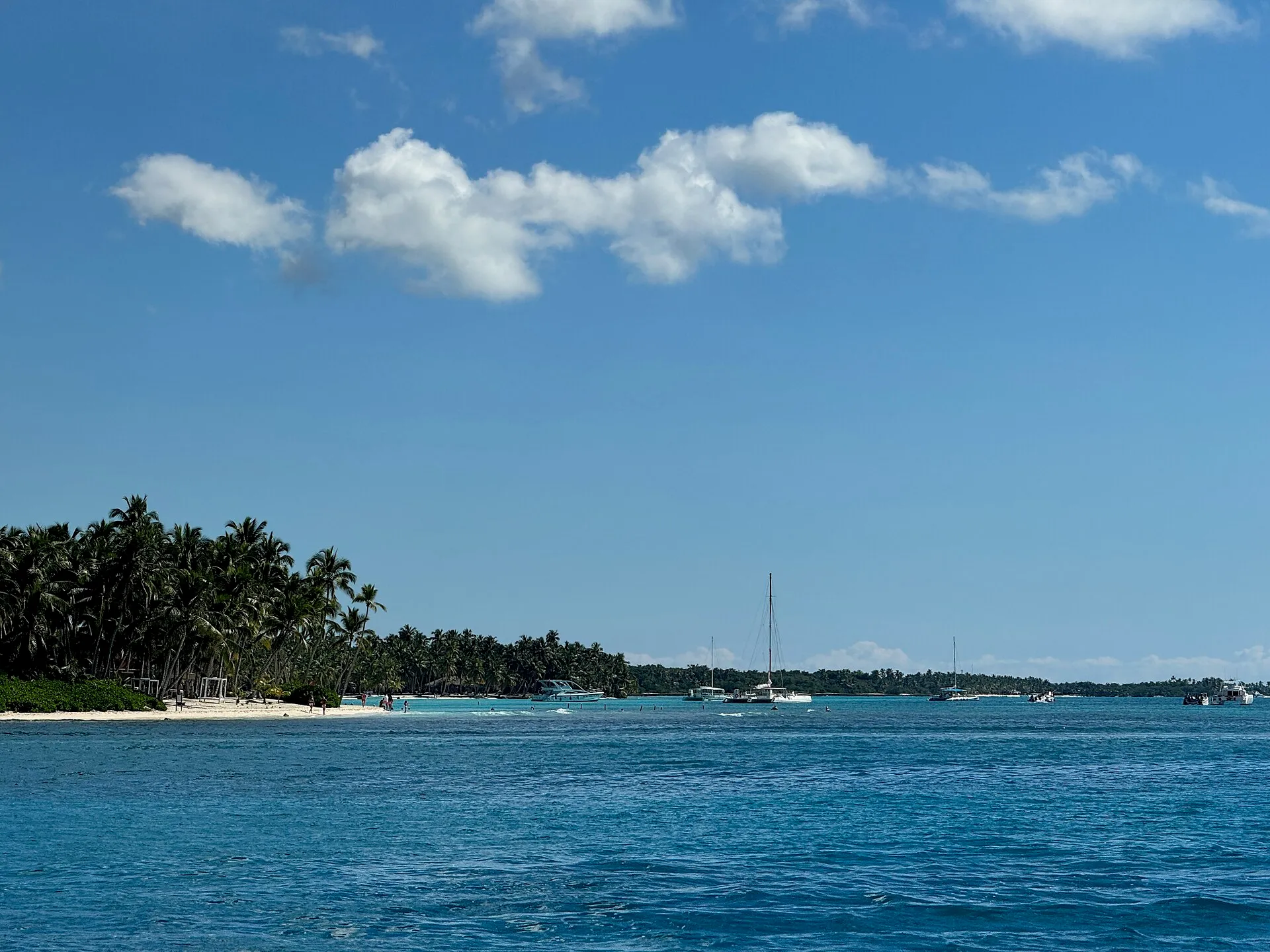 Half-Day Catamaran Cruise (Sail & Sun)