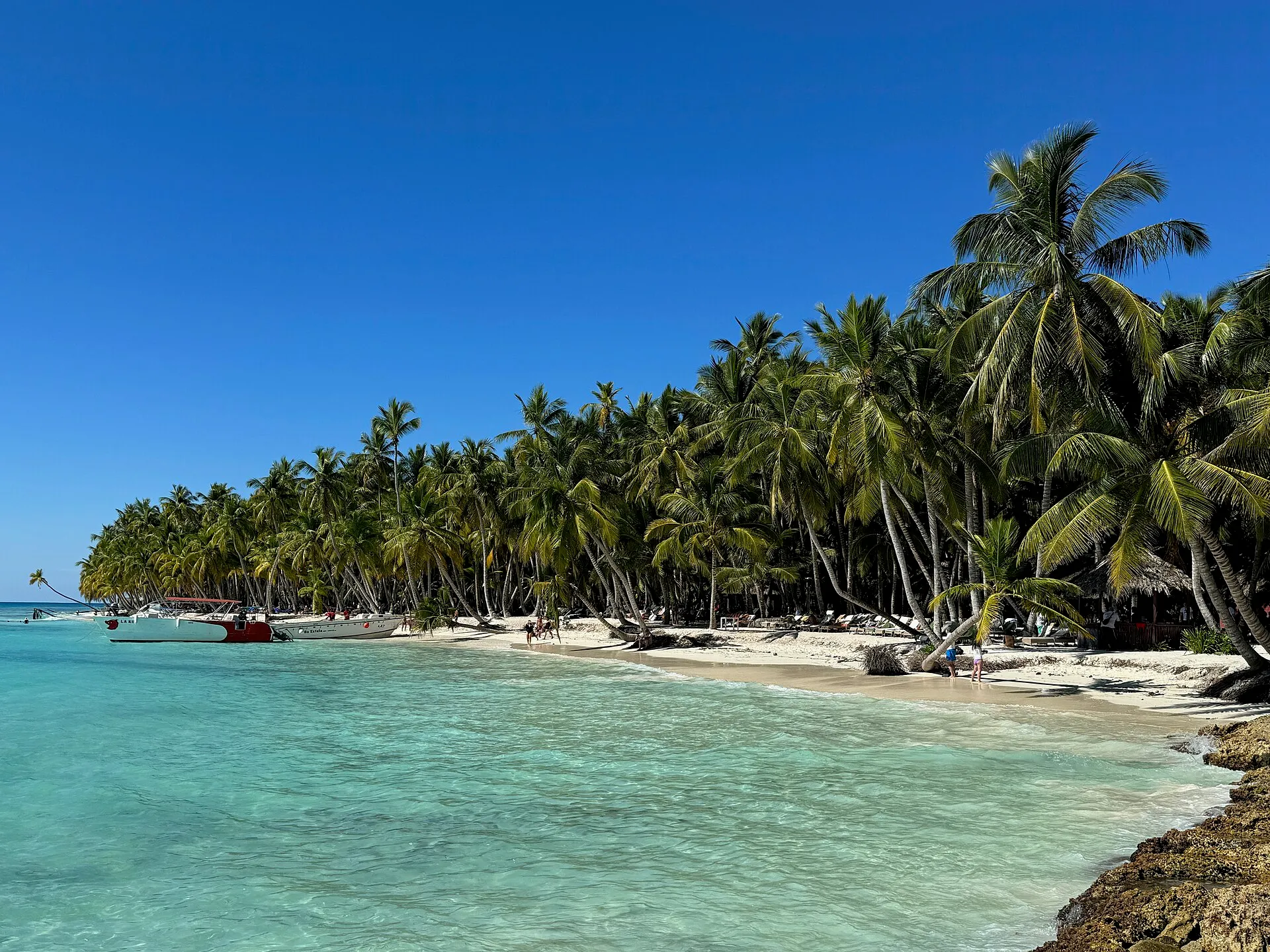 Saona Island & Blue Lagoon by Sailboat