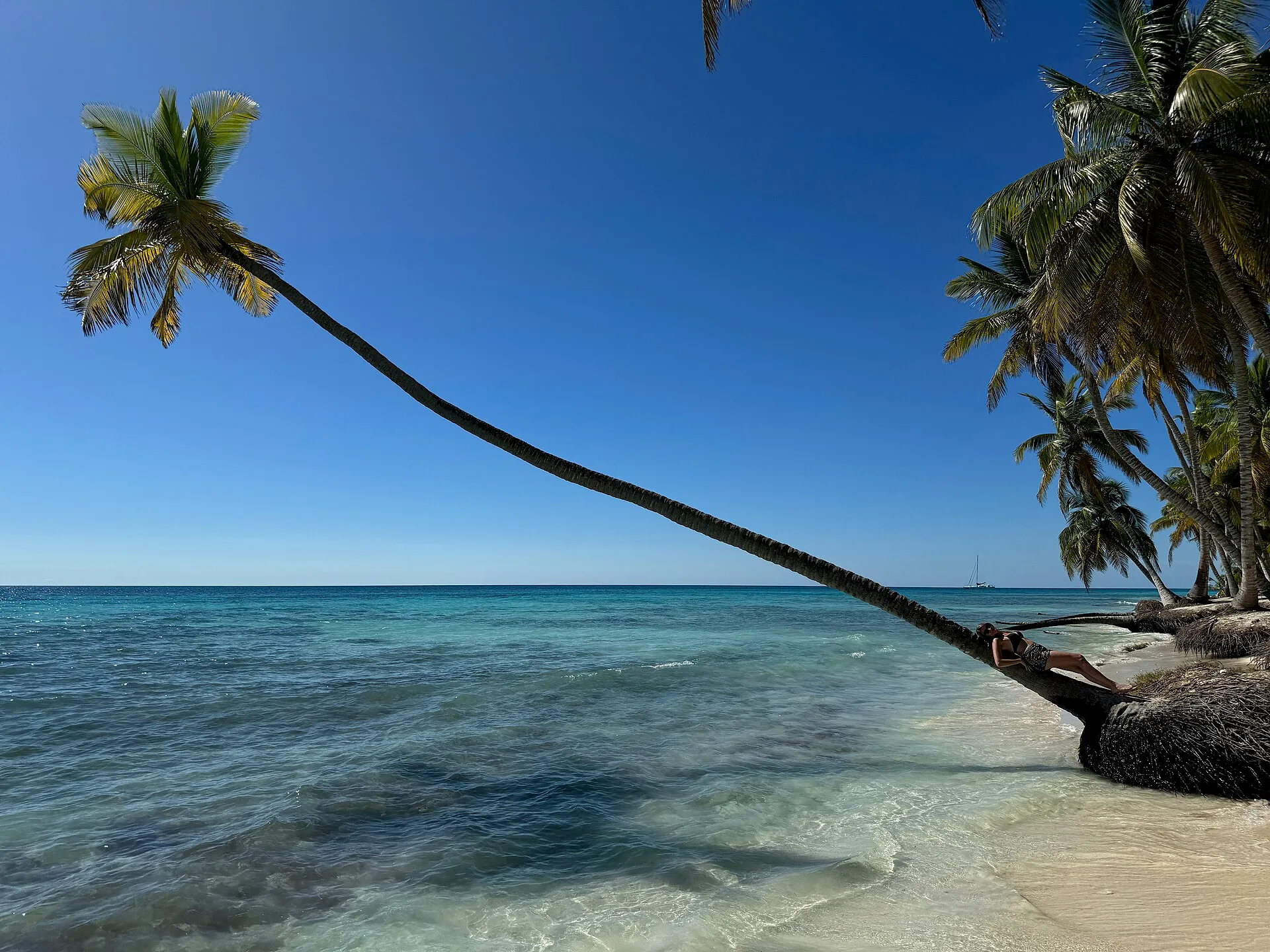 Saona Island & Blue Lagoon by Sailboat