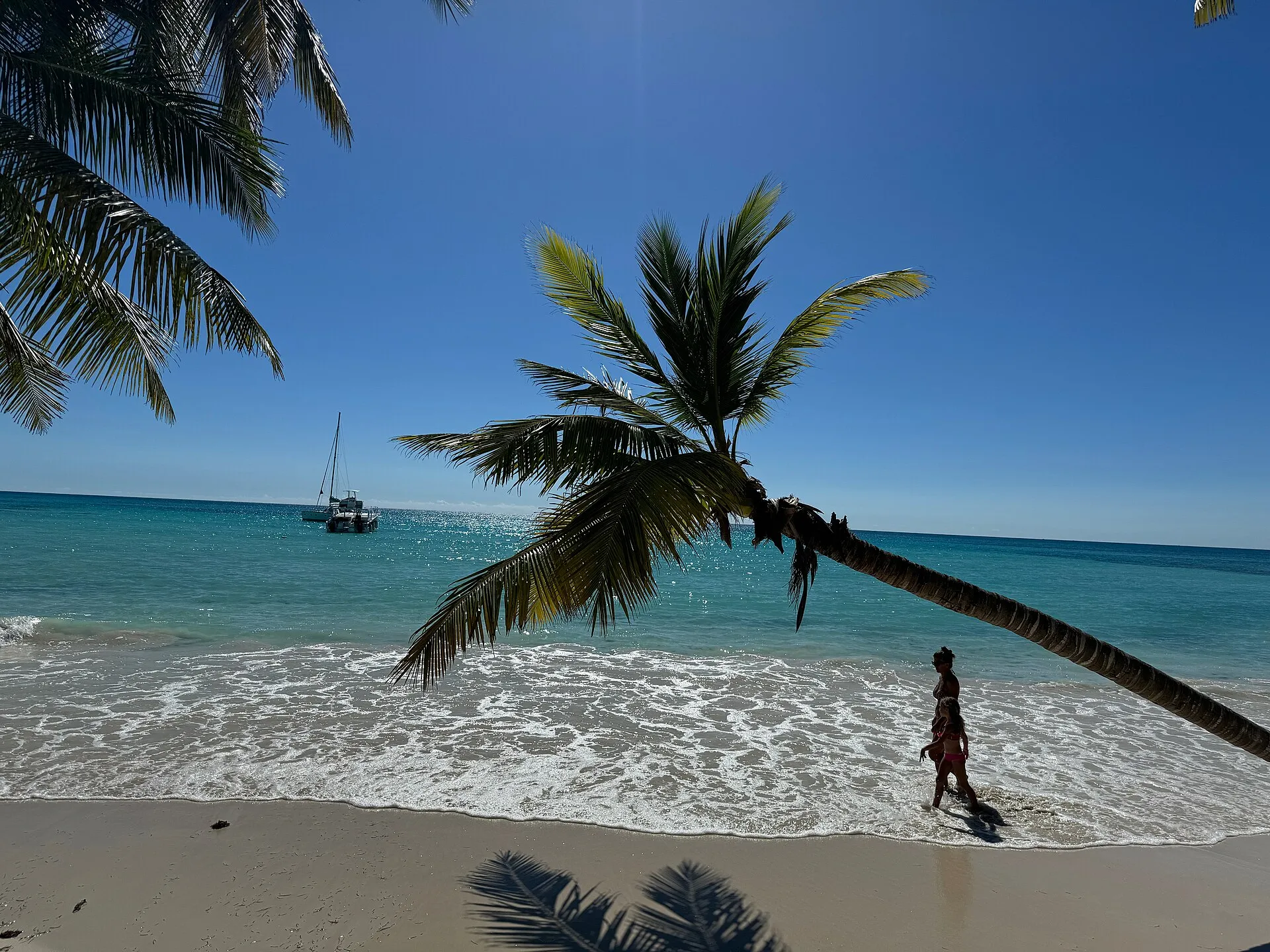 Private Saona Island Tour
