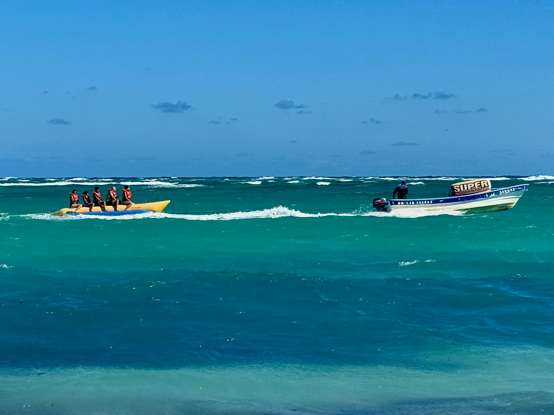 Private Sharky Catamaran
